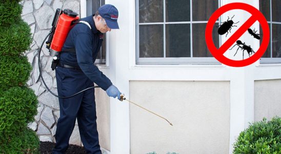 Şirinyer Dezenfeksiyon böcek ilaçlama ve haşere kontrolü — ilaclama-tr.com